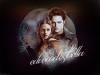 twilight