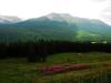 wandering in the courtyard of God--Xinjiang