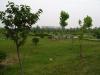 My School