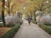Journey to Nanjing