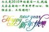 20101231