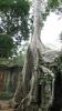 About Cambodia